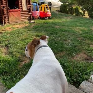 Meet your Posher, Kialiegh